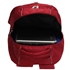 Picture of Xardi Red Unisex Outdoor Sports Polyester Backpack
