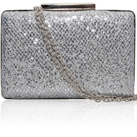 Picture of Xardi London Silver Boxy Hard Compact Glitter Bridal Clutch Bag