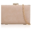 Picture of Xardi London Nude Hard Compact Suede Clutch For Womens