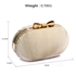 Picture of Xardi London Nude Style 2 Boxed Satin Women Bridal Clutch Bag