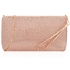 Picture of Xardi London Champagne Mesh Beaded Wristlet Beaded Clutch Purse 